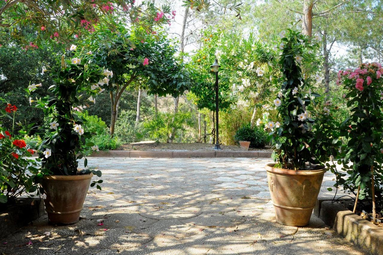 Agriresort Villa Bentivoglio Пиаца Армерина Екстериор снимка