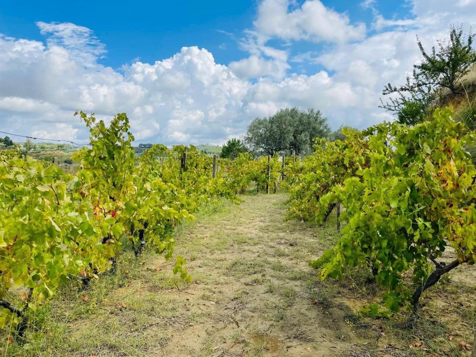 Agriresort Villa Bentivoglio Пиаца Армерина Екстериор снимка